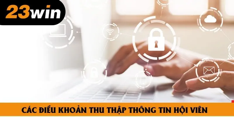 Các điều khoản thu thập thông tin hội viên