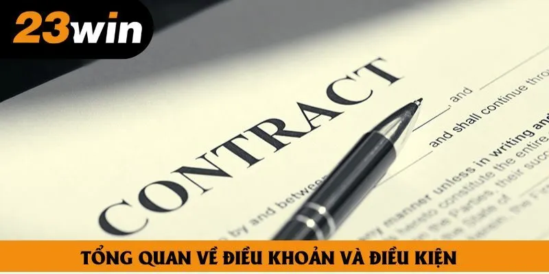 Tổng quan về điều khoản và điều kiện